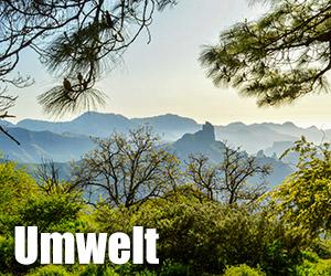 Umwelt