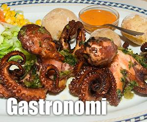 Gastronomi
