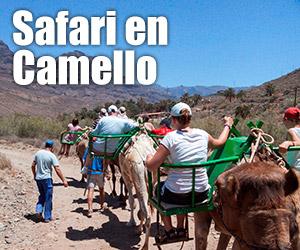 Safaris en Camellos