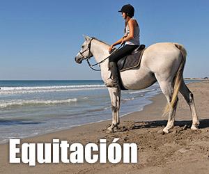 Equitación