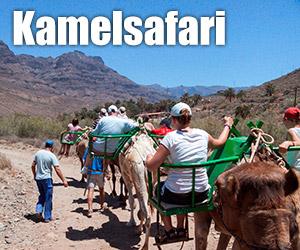 Kamelsafari